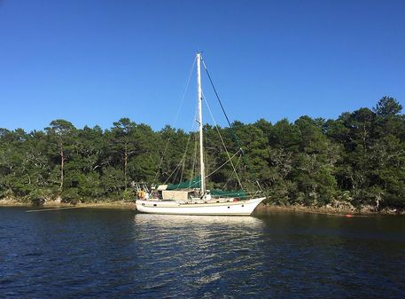 CSY Cutter image