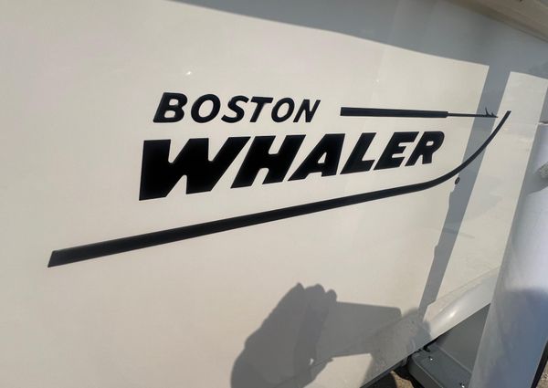 Boston-whaler 210-MONTAUK image