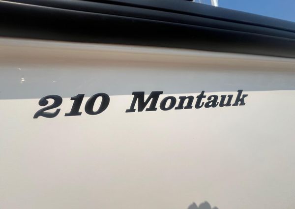 Boston-whaler 210-MONTAUK image