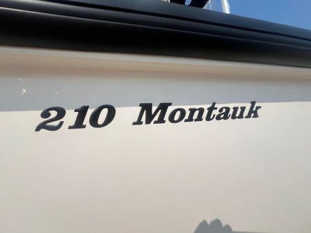 Boston-whaler 210-MONTAUK image