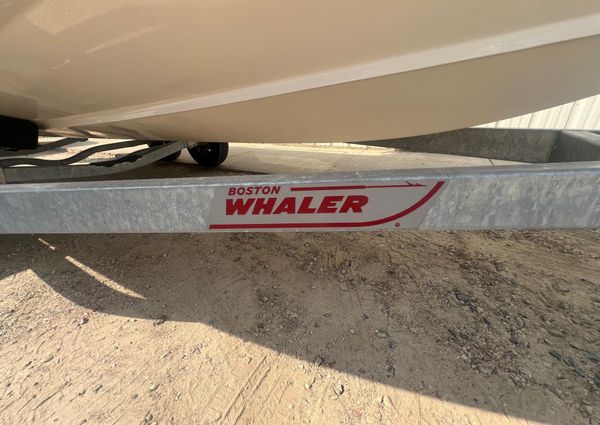 Boston-whaler 210-MONTAUK image