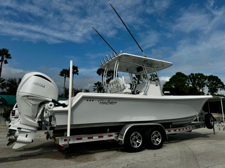 Pair-customs 27-CENTER-CONSOLE image