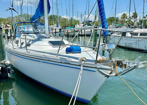 Catalina Sloop image