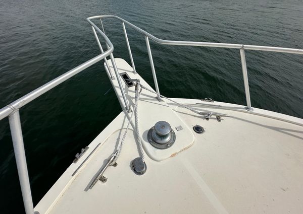 Viking 43 Convertible image