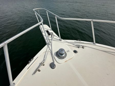 Viking 43 Convertible image