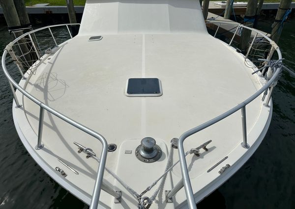 Viking 43 Convertible image