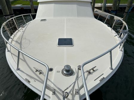 Viking 43 Convertible image