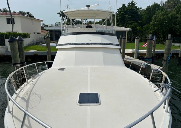 Viking 43 Convertible image