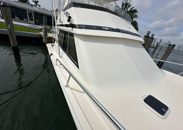 Viking 43 Convertible image