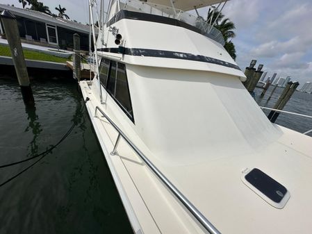 Viking 43 Convertible image