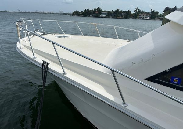 Viking 43 Convertible image