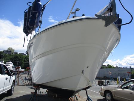 Bayliner 245 image