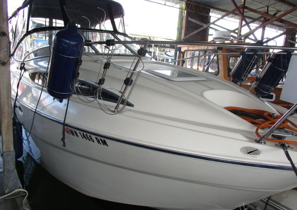 Bayliner 245 image