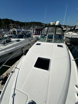 Sea Ray 300 Sundancer image