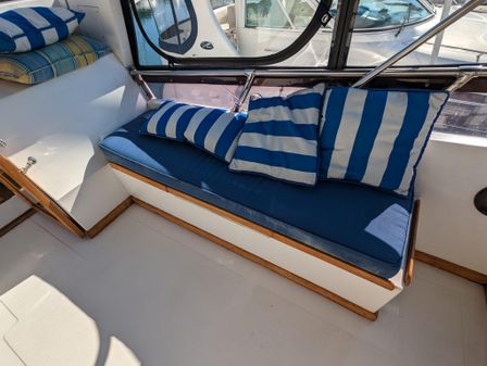 Nova 40 Sundeck image