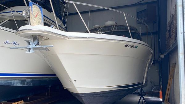 Sea Ray 340 Amberjack 