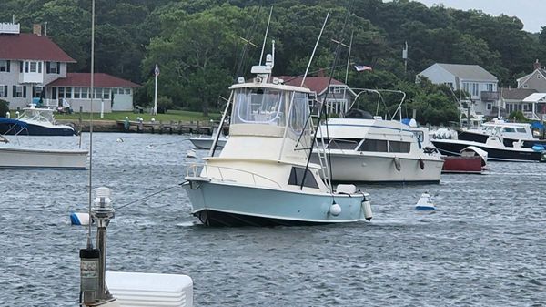 Bertram 31 Flybridge Cruiser