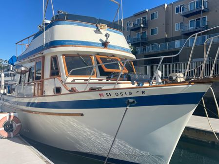 Golden Star Aft Cabin image