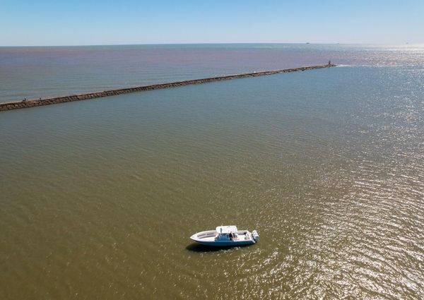 Invincible 39 Open Fisherman image