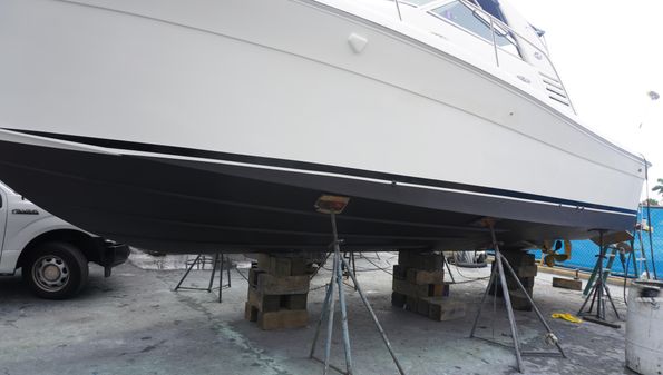 Sea Ray 340 Amberjack image