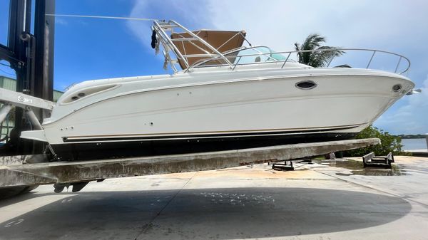 Sea Ray 290 Amberjack 