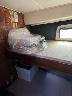 Bertram 385 Convertible image