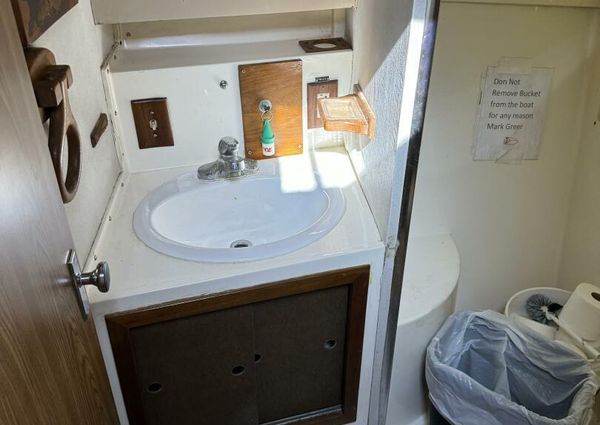 Bertram 385 Convertible image