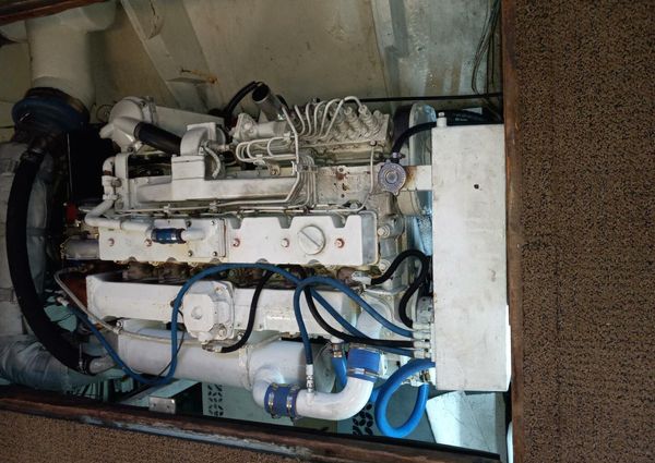 Bertram 385 Convertible image