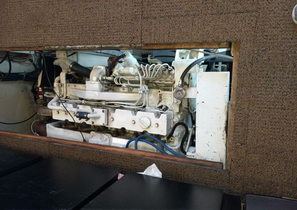 Bertram 385 Convertible image