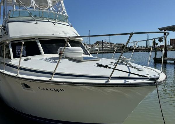 Bertram 385 Convertible image