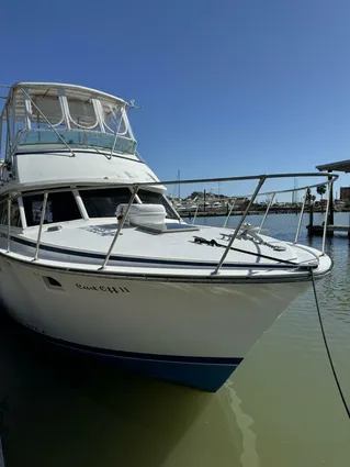 Bertram 385 Convertible image