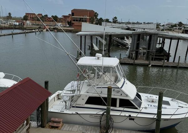 Bertram 385 Convertible image