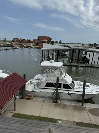 Bertram 385 Convertible image