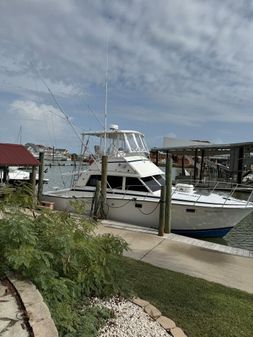 Bertram 385 Convertible image