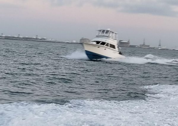 Bertram 385 Convertible image