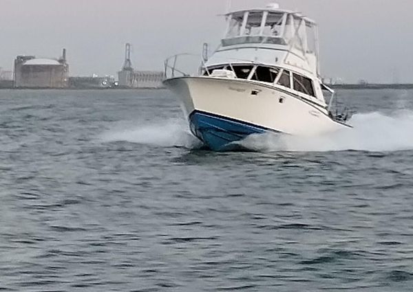 Bertram 385 Convertible image