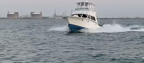 Bertram 385 Convertible image