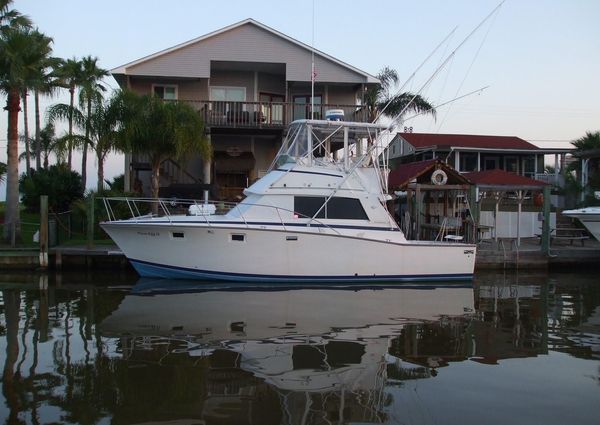 Bertram 385 Convertible image