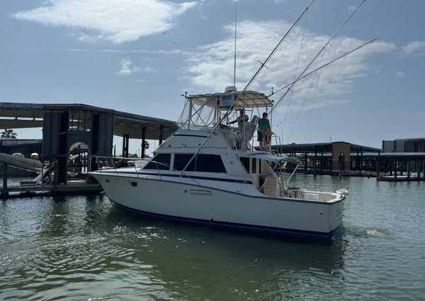 Bertram 385 Convertible image