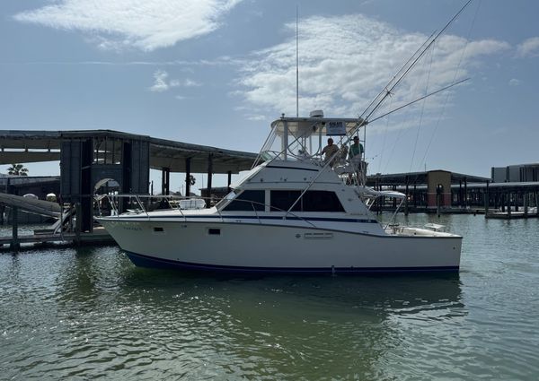 Bertram 385 Convertible image