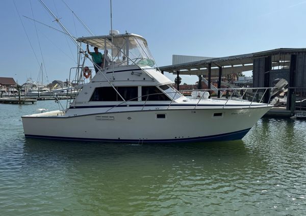 Bertram 385 Convertible image