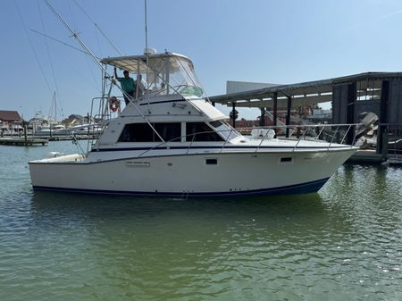 Bertram 385 Convertible image