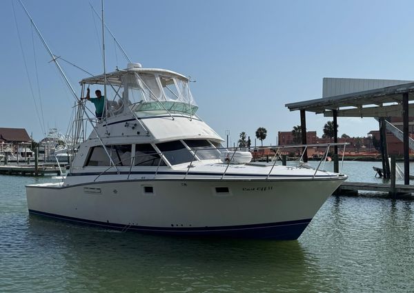 Bertram 385 Convertible image