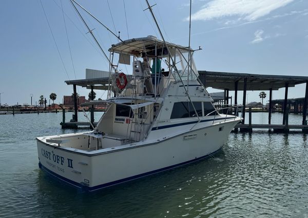 Bertram 385 Convertible image