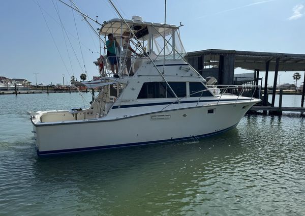 Bertram 385 Convertible image