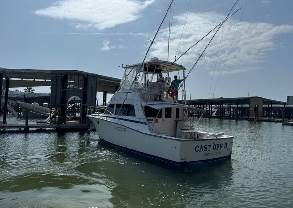 Bertram 385 Convertible image