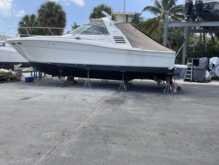 Sea Ray 370 image