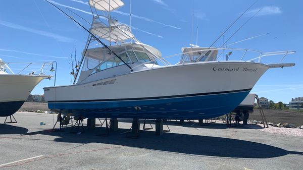 Luhrs Open / Express 
