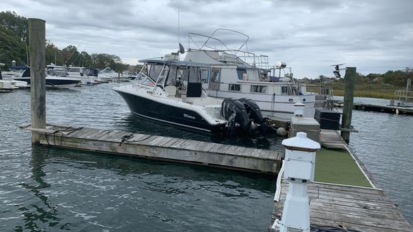 Triton 301 XD