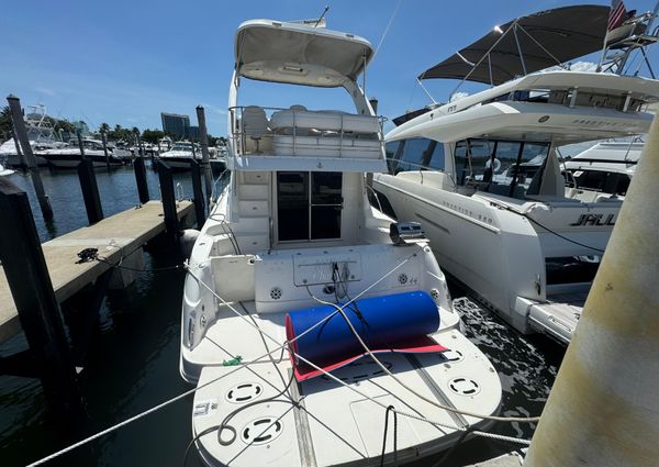 Sea Ray 44 Sedan Bridge image